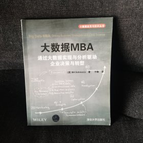 大数据MBA 通过大数据实现与分析驱动企业决策与转型/大数据应用与技术丛书