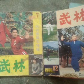 武林杂志2本合售如图