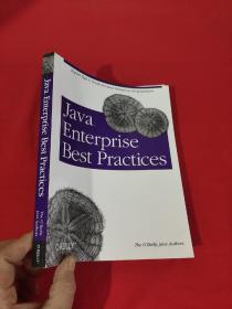 Java Enterprise Best Practices  （16开） 【详见图】