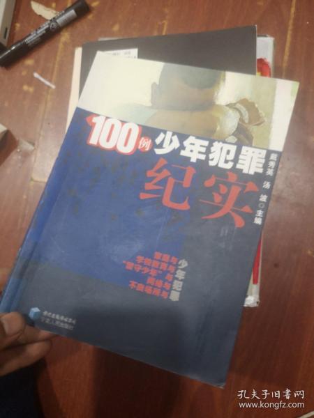 100例少年犯罪纪实