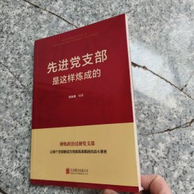 先进党支部是这样炼成的 正版全新代塑封