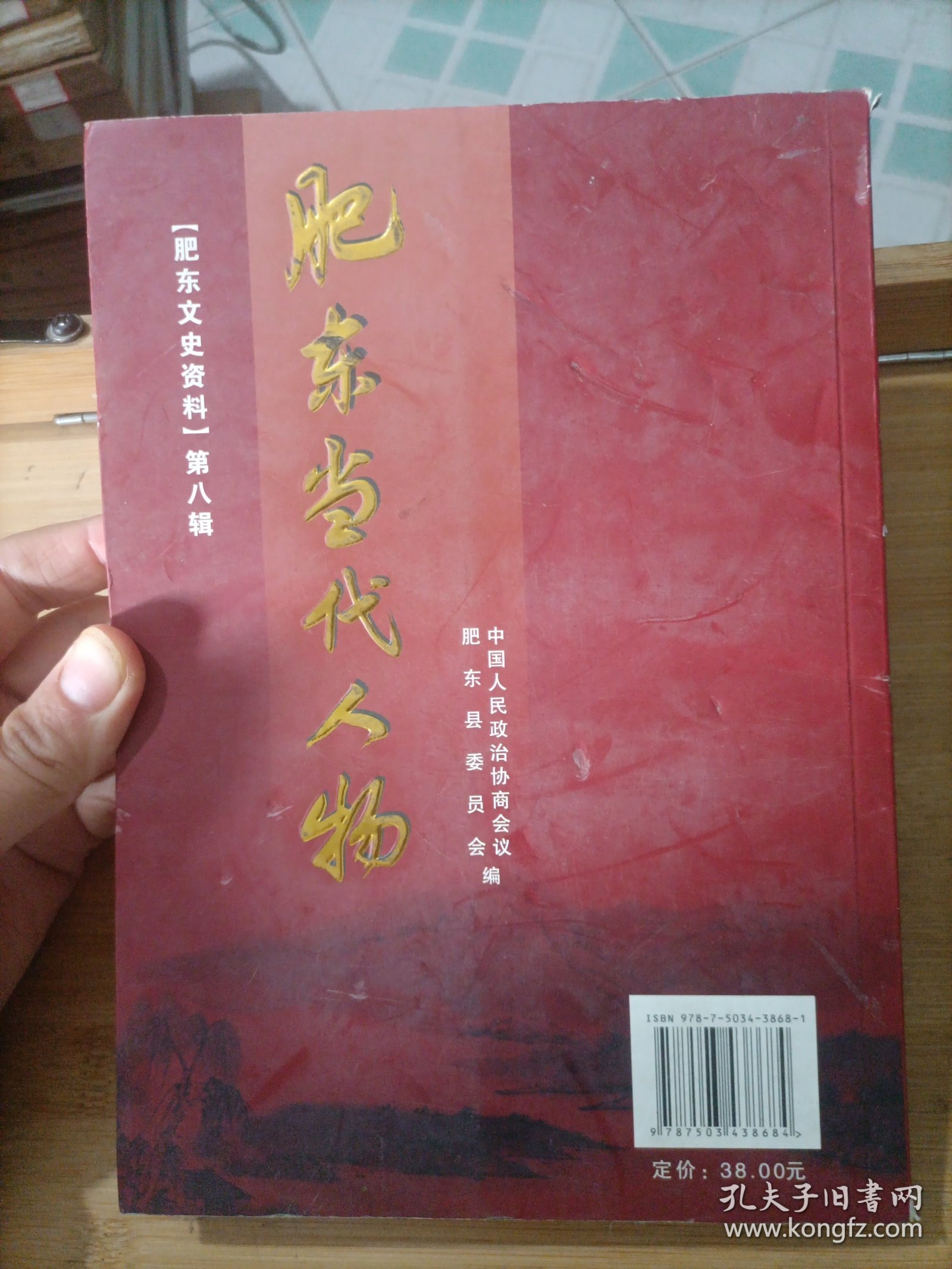 肥东当代人物【肥东文史资料第八辑】