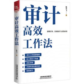 审计高效工作法 审计 陈英飞