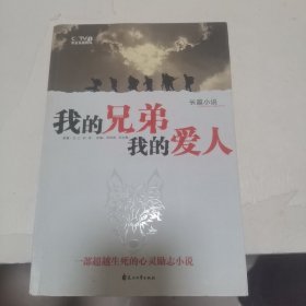 我的兄弟我的爱人