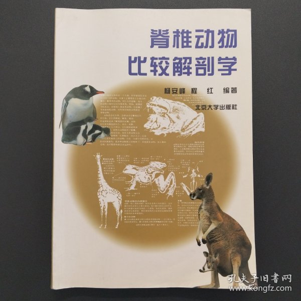 脊椎动物比较解剖学