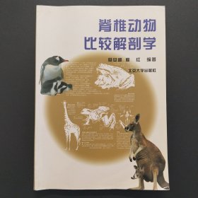 脊椎动物比较解剖学