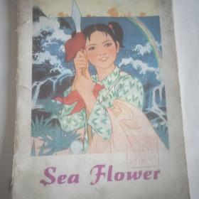 连环画《海花》余松岩编，陈衍宁绘1975年（18开）第一版（英）。