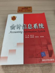 会计信息系统/21世纪经济管理类精品教材