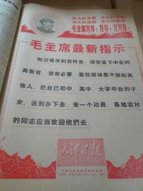 生日报、纪念日报：中国青年报1953-2005年共243个月