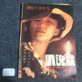 小说林1987 4