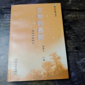 文学的星群:南阳作家群论