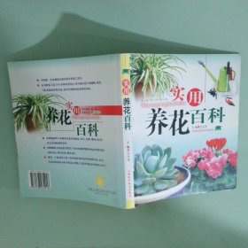 實拍圖 實用養(yǎng)花百科