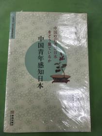 “笹川杯”征文大赛获奖作品集：中国青年感知日本（第2辑）（汉日对照）