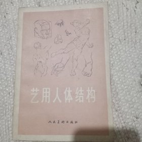 艺用人体结构