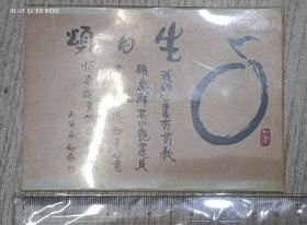 樱花标本卡片(塑封)