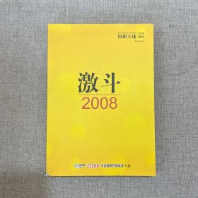 激斗2008——围棋天地2009增刊