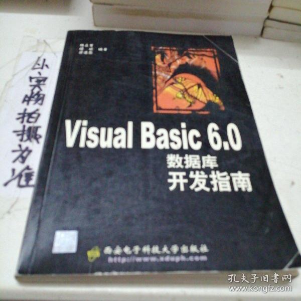 Visual Basic 6.0数据库开发指南