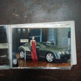 车展车模（照片）
