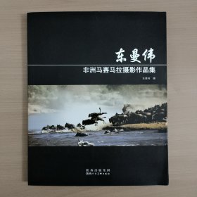 东曼伟非洲马赛马拉摄影作品集