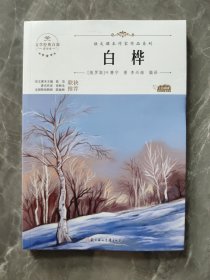 白桦 中小学生读语文课本作家作品课外阅书文学经典