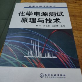 化学电源测试原理与技术——化学电源技术丛书