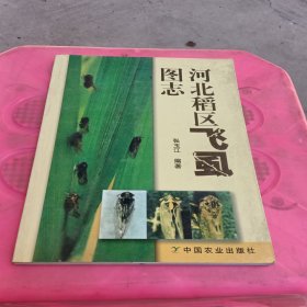 河北稻区飞虱图志