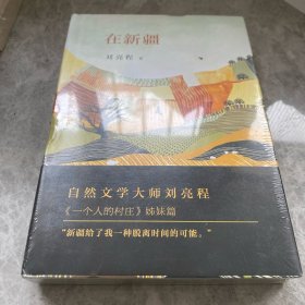 在新疆（精装典藏）