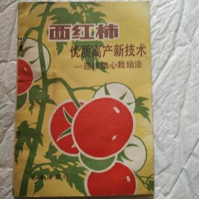 西红柿优质高产新技术