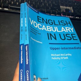 English Vocabulary in Use Upper-Intermediate