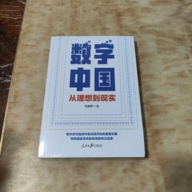 数字中国：从理想到现实(未开封)