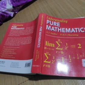 Understanding Pure Mathematics(现货)