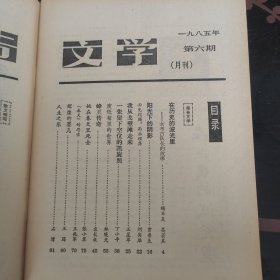 报告文学 1985.6