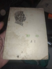 野草(封面有水渍)内页不错(纸箱)