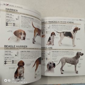 The Complete Dog Breed Book: Choose the Perfect Dog for You 狗狗类品种完整书 超420个狗狗品种参考面板图册 狗狗护理照顾基础知识 DK百科