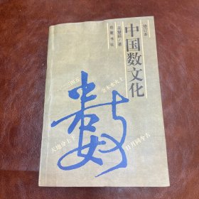 中国数文化 1996年2版2印 （品如图