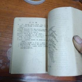 常用民间草药治疗手册