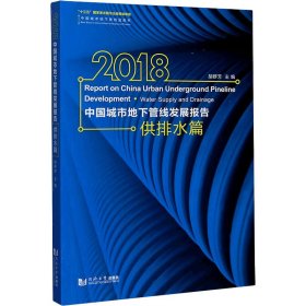 2018中国城市地下管线发展报告 供排水篇