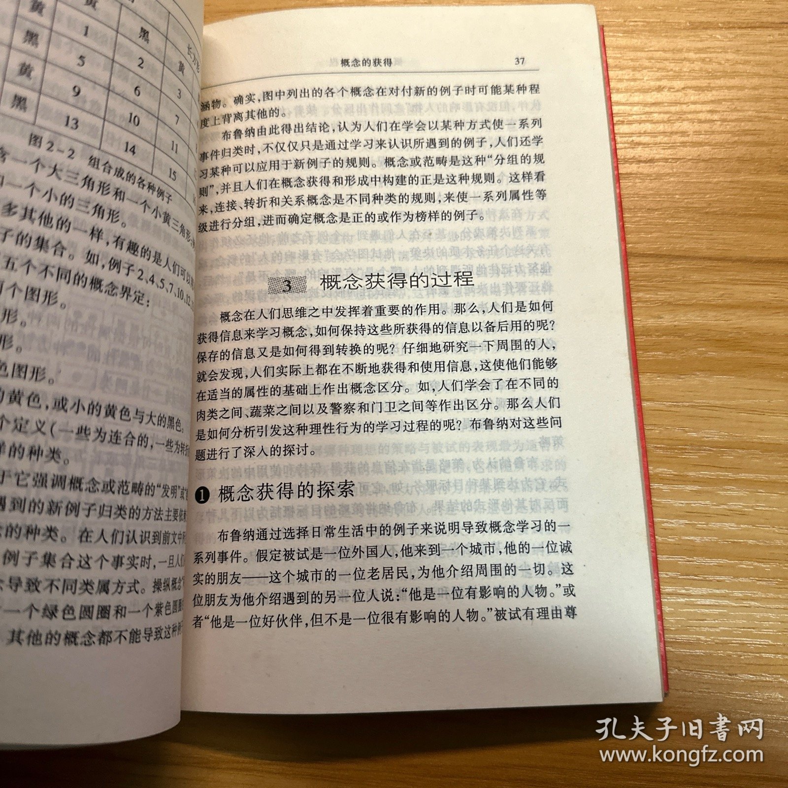 放射智慧之光:布鲁纳的认知与教育心理学