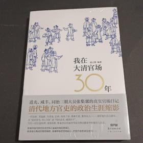 我在大清官场30年：My 30 years' Official Career in Qing Dynasty