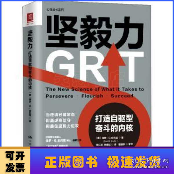 坚毅力：打造自驱型奋斗的内核（逆商理论创始人保罗·史托兹博士又一力作）