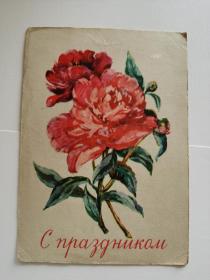 老俄罗斯明信片-----《花卉》！（1959年）