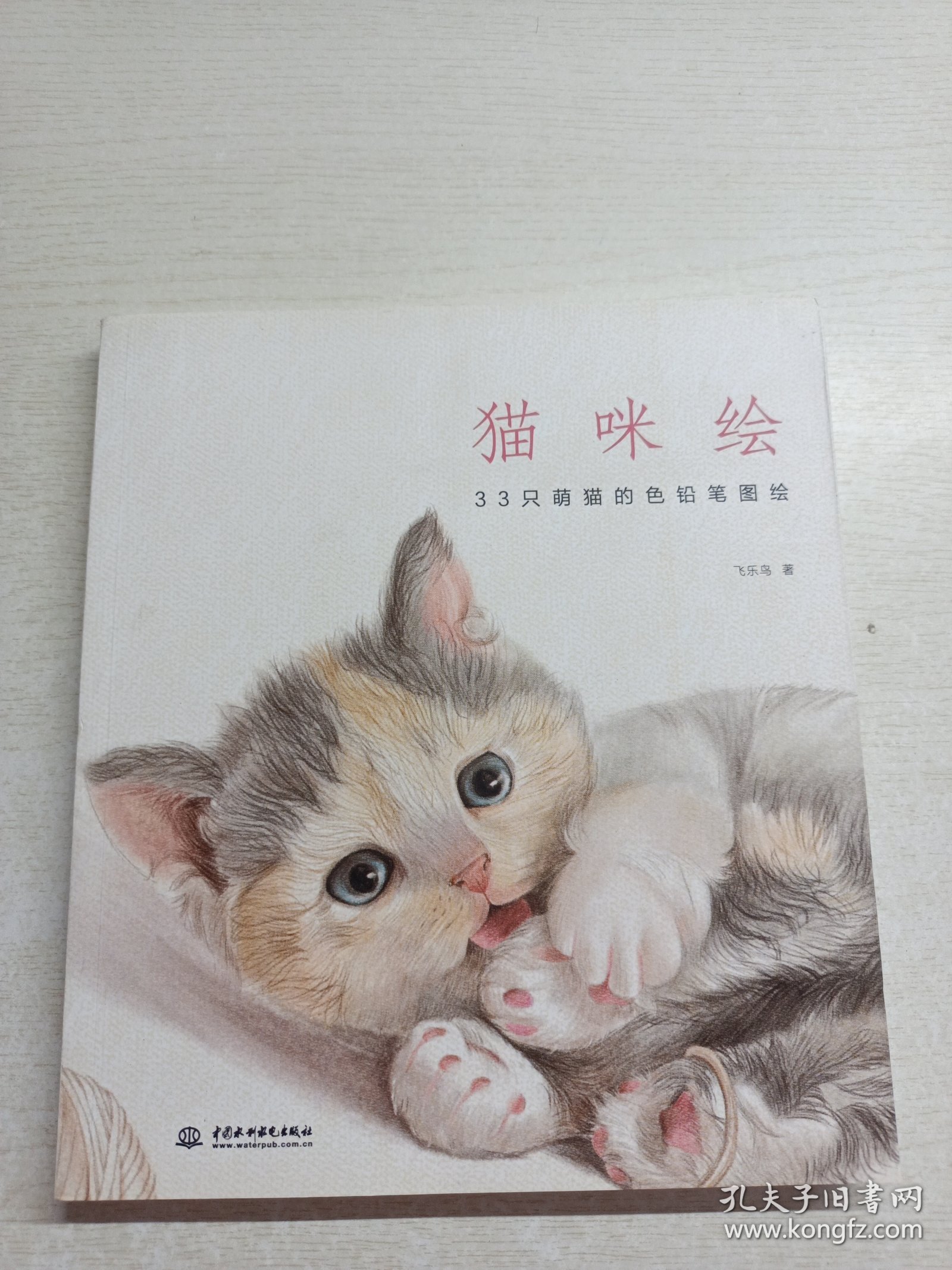 猫咪绘：33只萌猫的色铅笔图绘