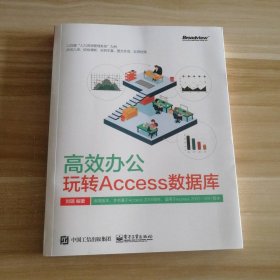 高效办公：玩转Access数据库