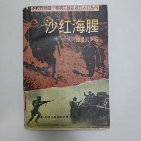 沙红海腥:从阿拉曼到罗马