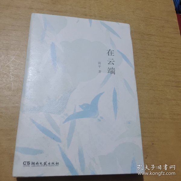 在云端（知名影视剧制片人、儿童文学作家患癌期间的生活故事，有关绝望与坚持，失去与得到）