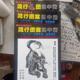 纹身大家族之流行图案集中营1-10+纹身大家族之流行图案集中营12、13、15精装版。13本