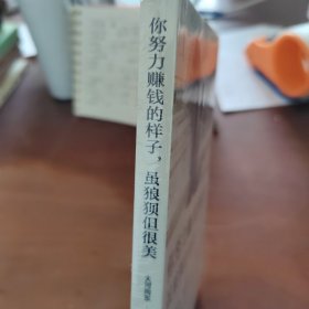 你努力赚钱的样子，虽狼狈但很美