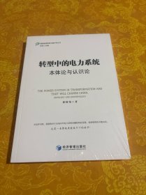 转型中的电力系统--本体论与认识论