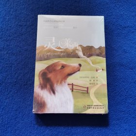 打动孩子心灵的动物经典——灵犬莱西