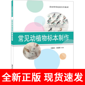 常见动植物标本制作